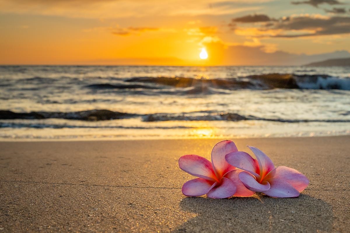 Wailana Sands condo # 6, Kihei, Hawaii - photo 49 of 49