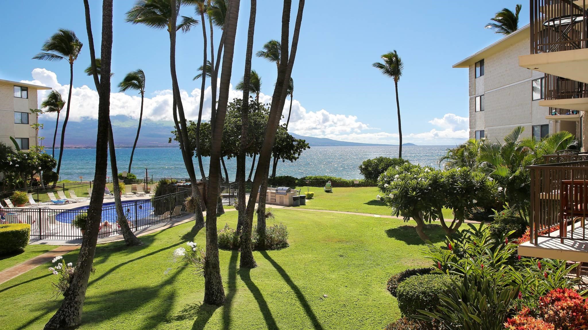 Kanai A Nalu condo # 212, Wailuku, Hawaii - photo 20 of 33