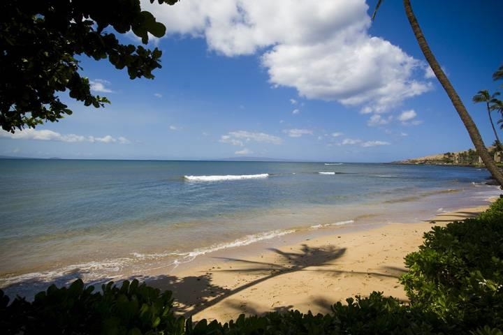 Kanai A Nalu condo # 212, Wailuku, Hawaii - photo 21 of 33