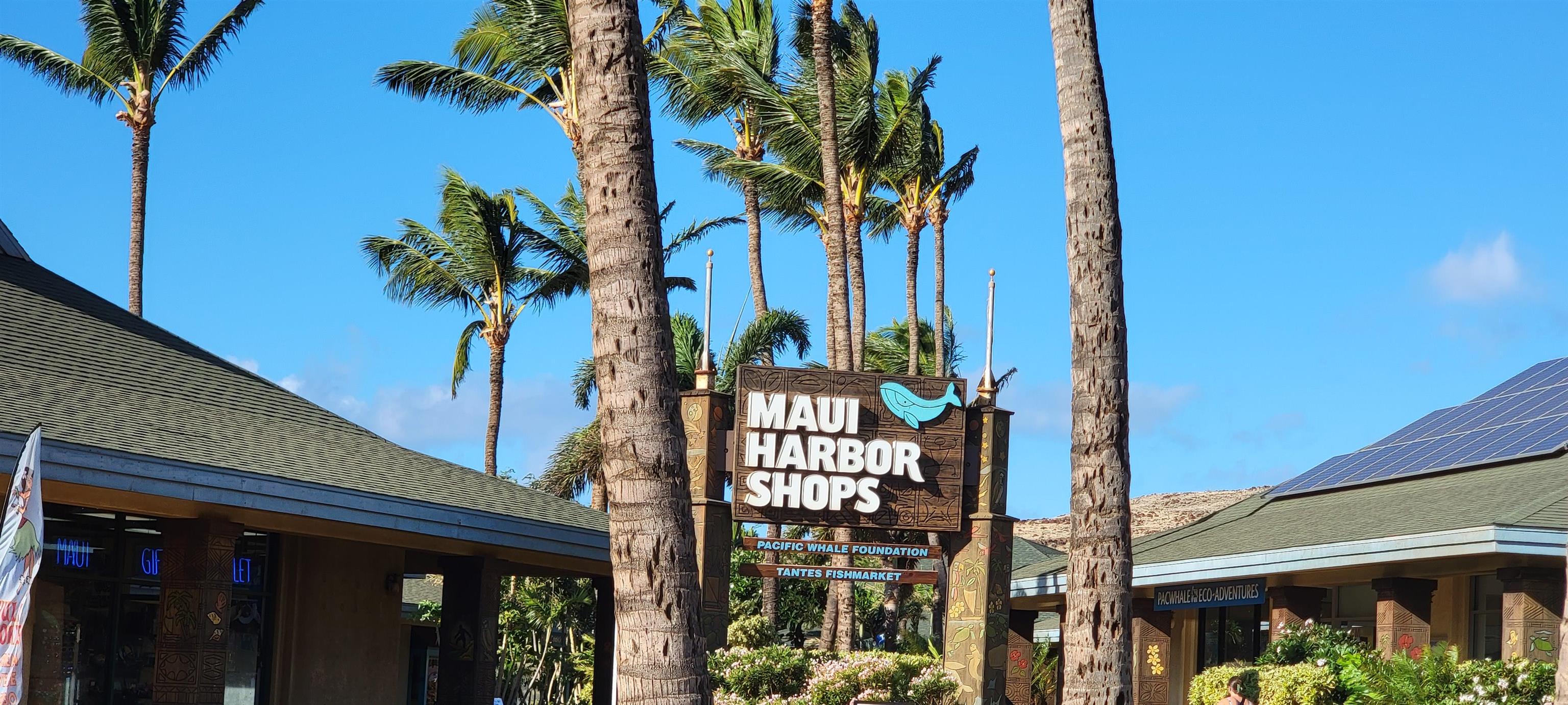 Kanai A Nalu condo # 109, Wailuku, Hawaii - photo 26 of 28