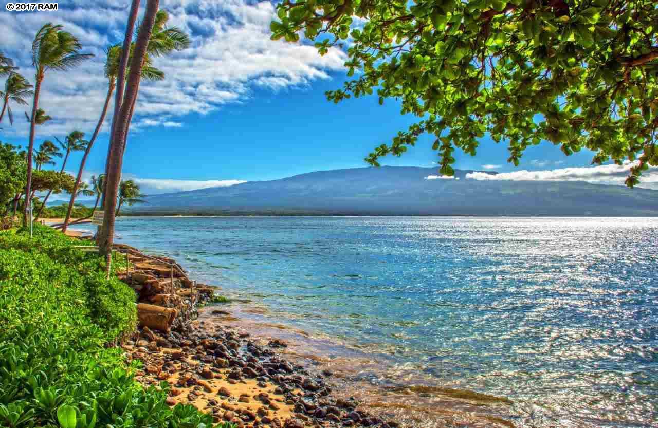 Kanai A Nalu condo # 113, Wailuku, Hawaii - photo 18 of 20