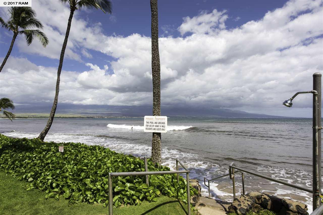 Kanai A Nalu condo # 203, Wailuku, Hawaii - photo 4 of 30