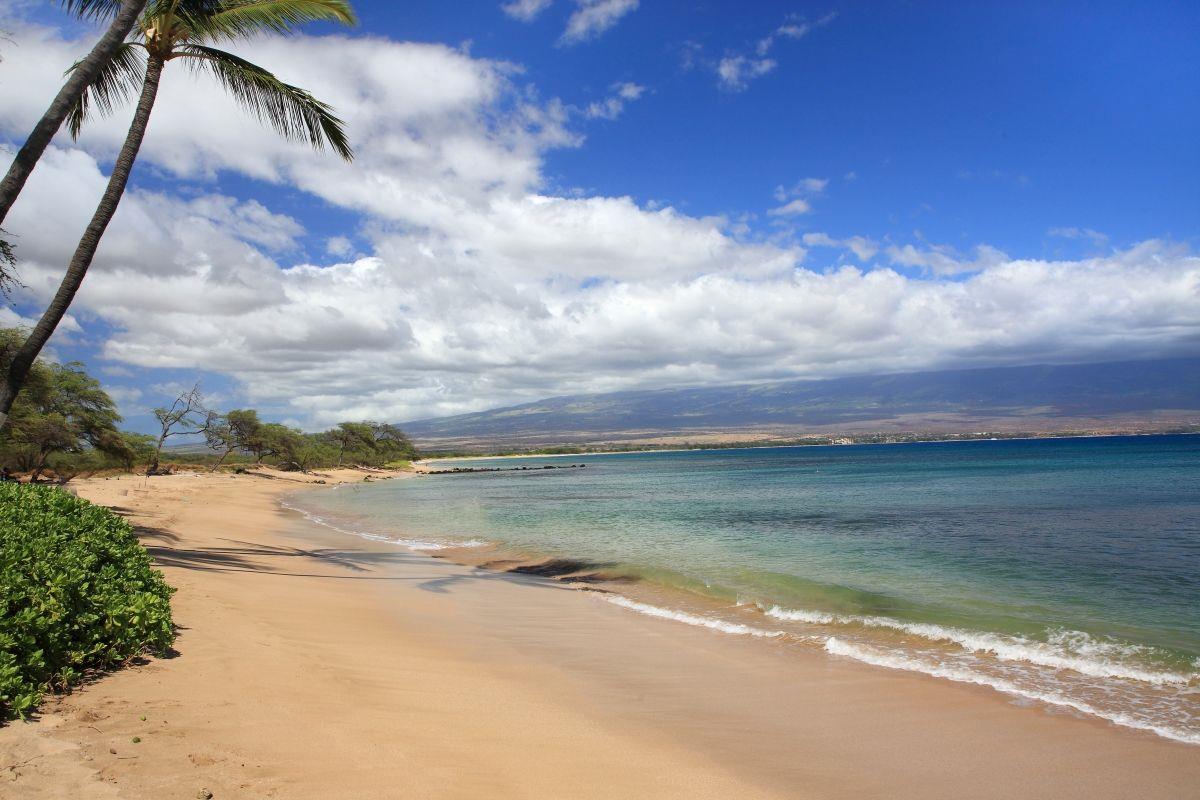 Kanai A Nalu condo # 312, Wailuku, Hawaii - photo 25 of 29