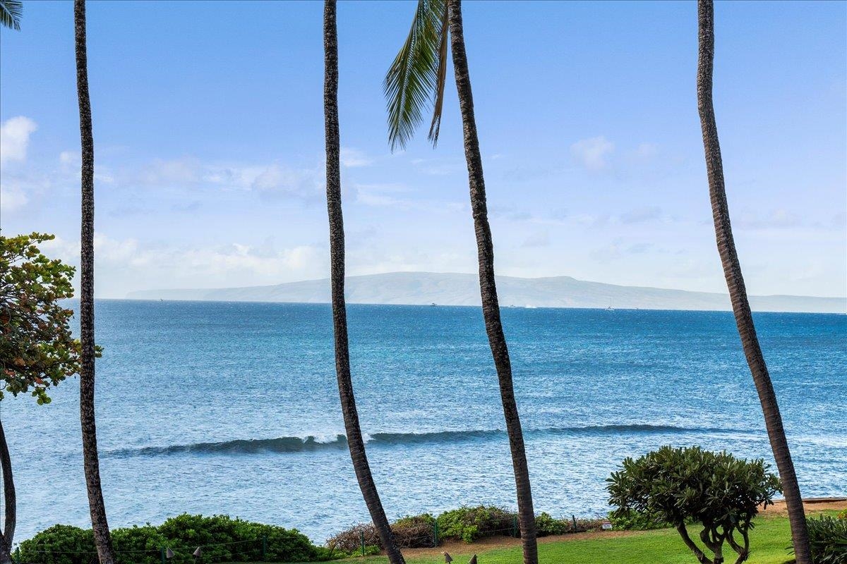 Kanai A Nalu condo # 313, Wailuku, Hawaii - photo 2 of 36