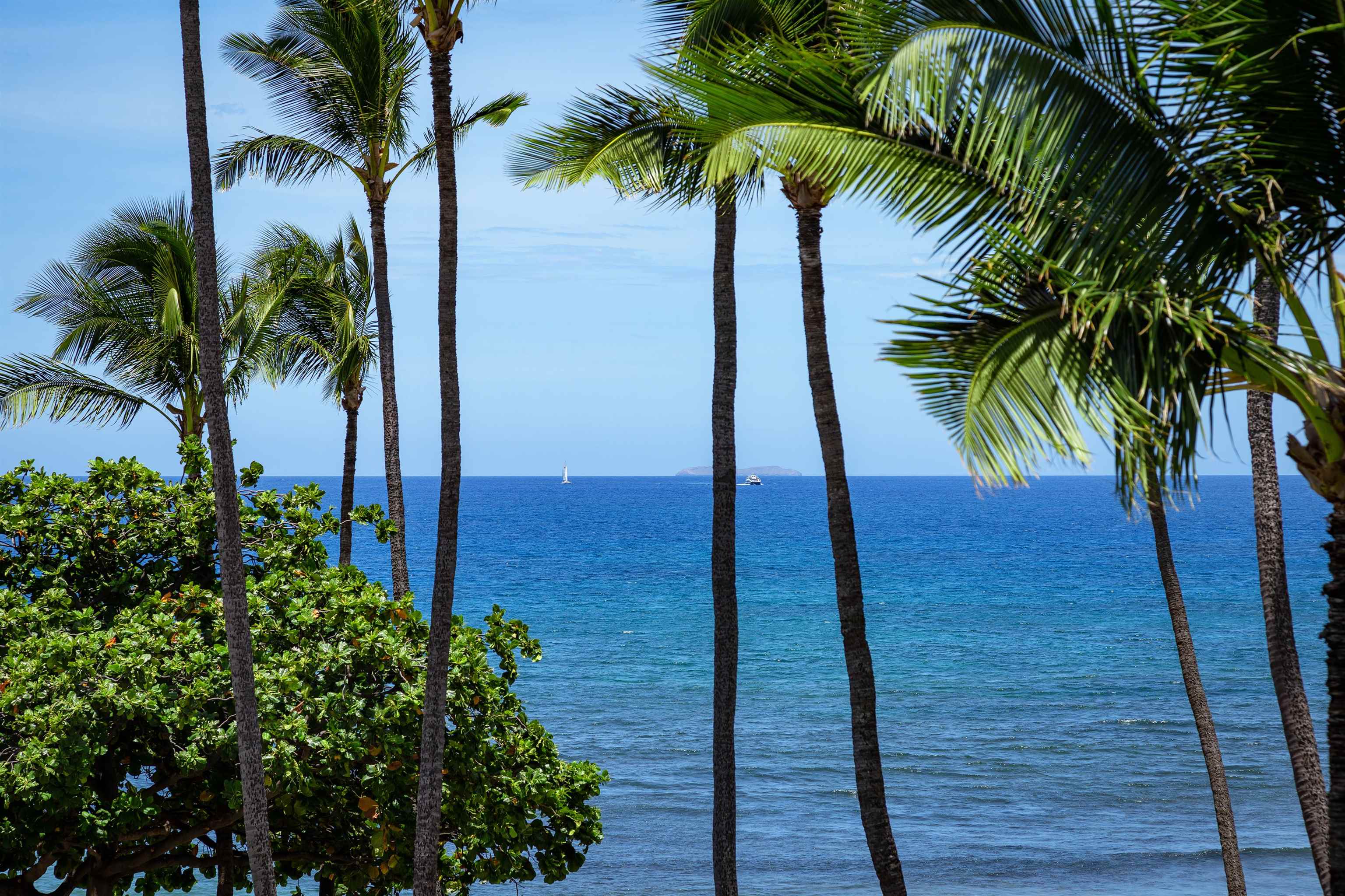 Kanai A Nalu condo # 412, Wailuku, Hawaii - photo 26 of 27