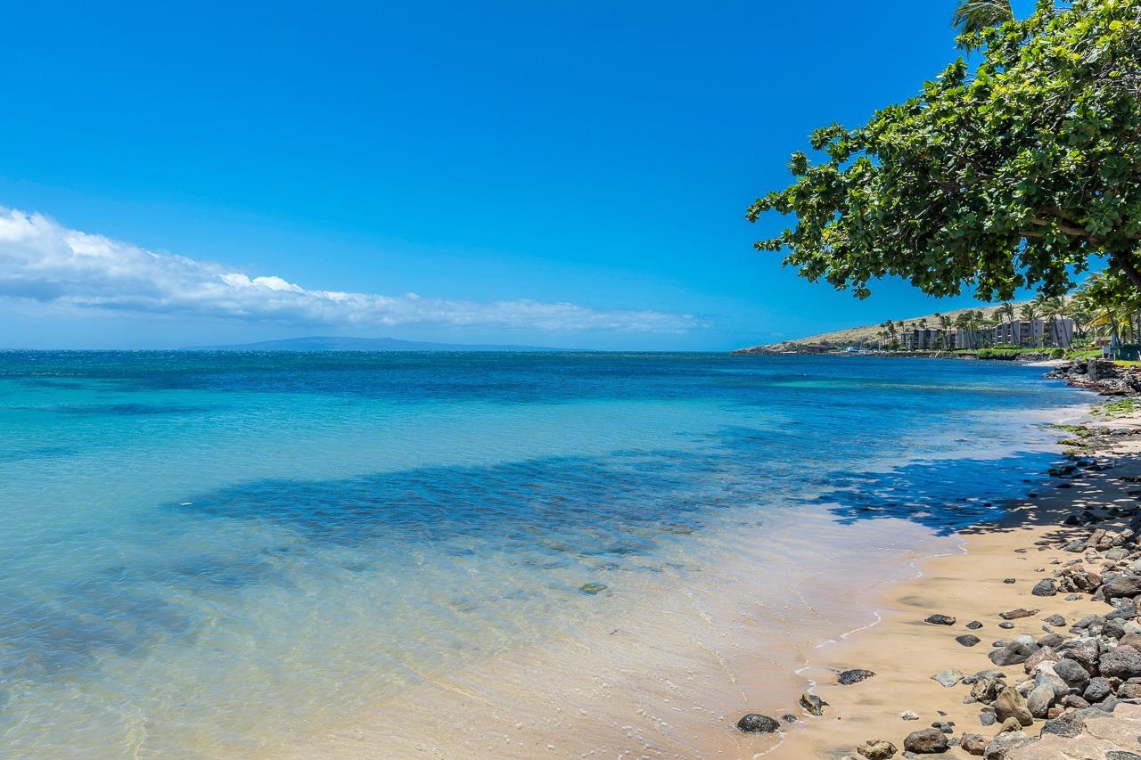 Kanai A Nalu condo # 414, Wailuku, Hawaii - photo 22 of 28
