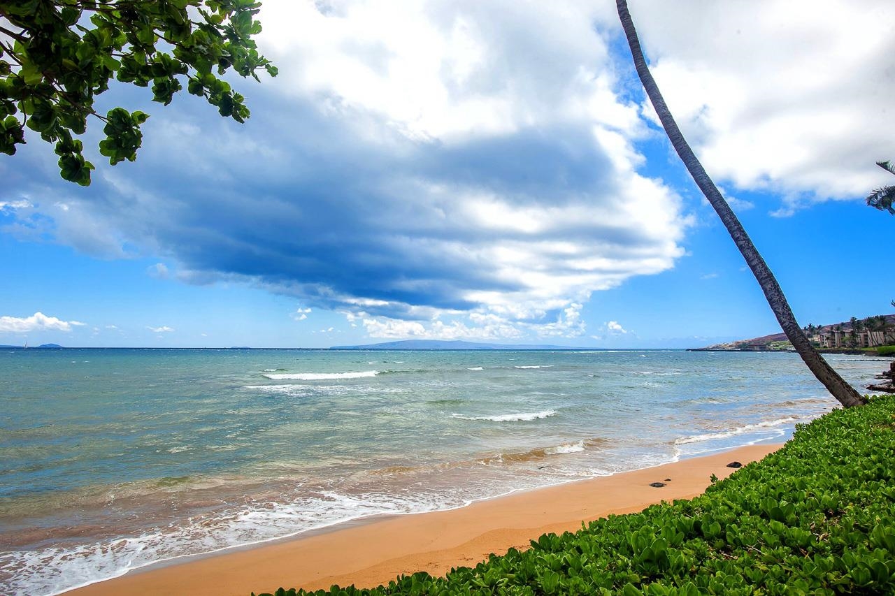 Kanai A Nalu condo # 414, Wailuku, Hawaii - photo 23 of 28