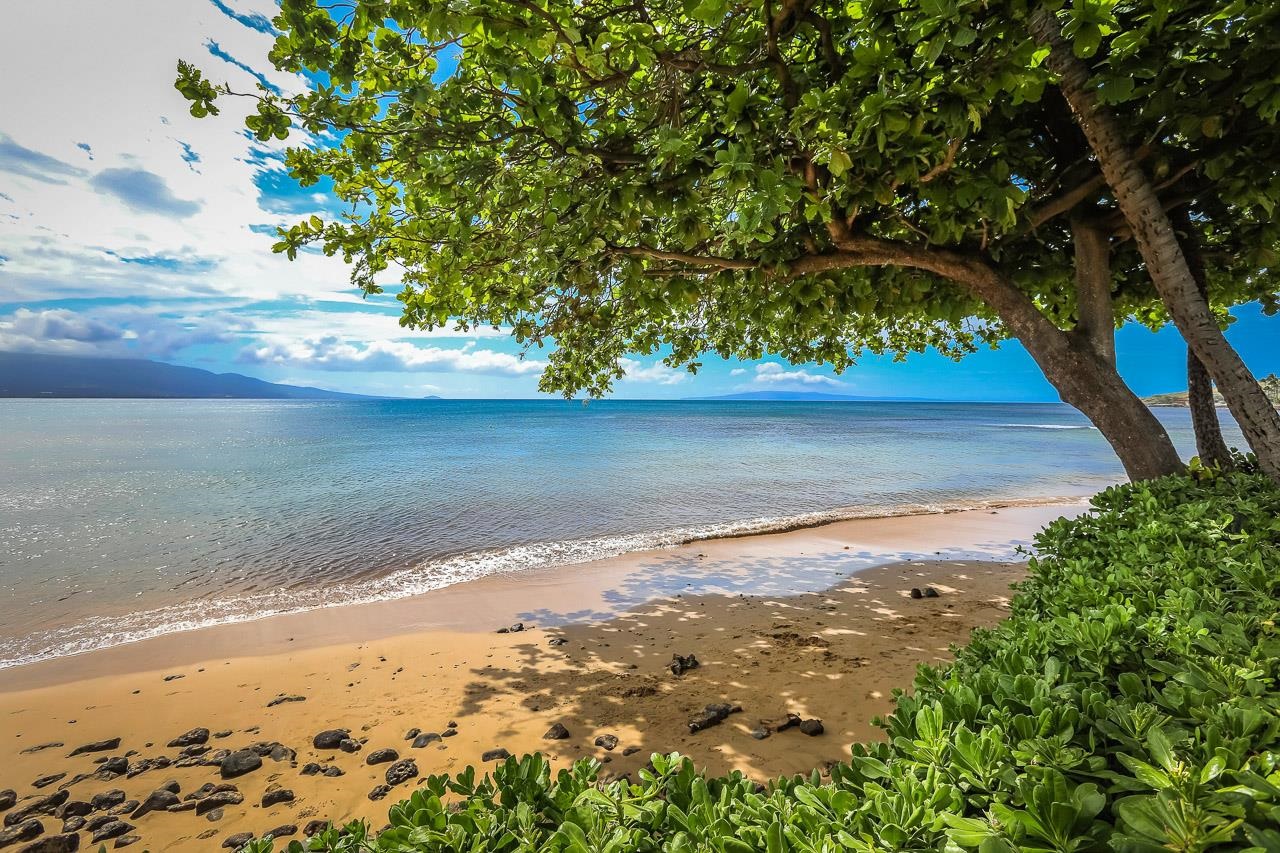 Kanai A Nalu condo # 414, Wailuku, Hawaii - photo 26 of 28