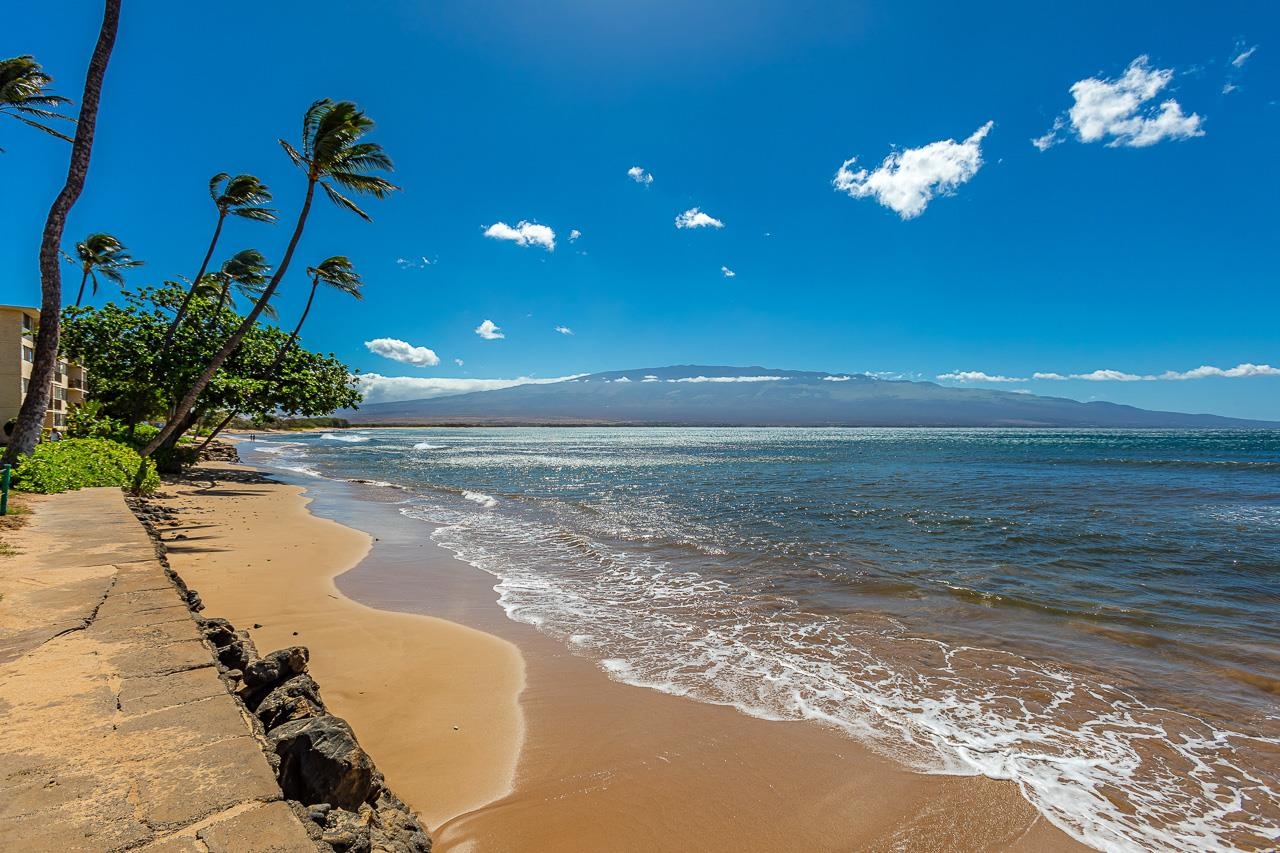 Kanai A Nalu condo # 414, Wailuku, Hawaii - photo 28 of 28