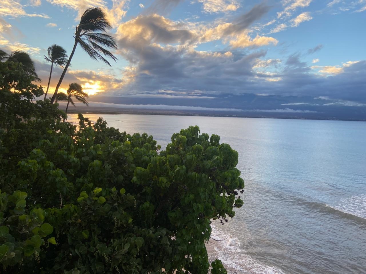Kanai A Nalu condo # 420, Wailuku, Hawaii - photo 29 of 30