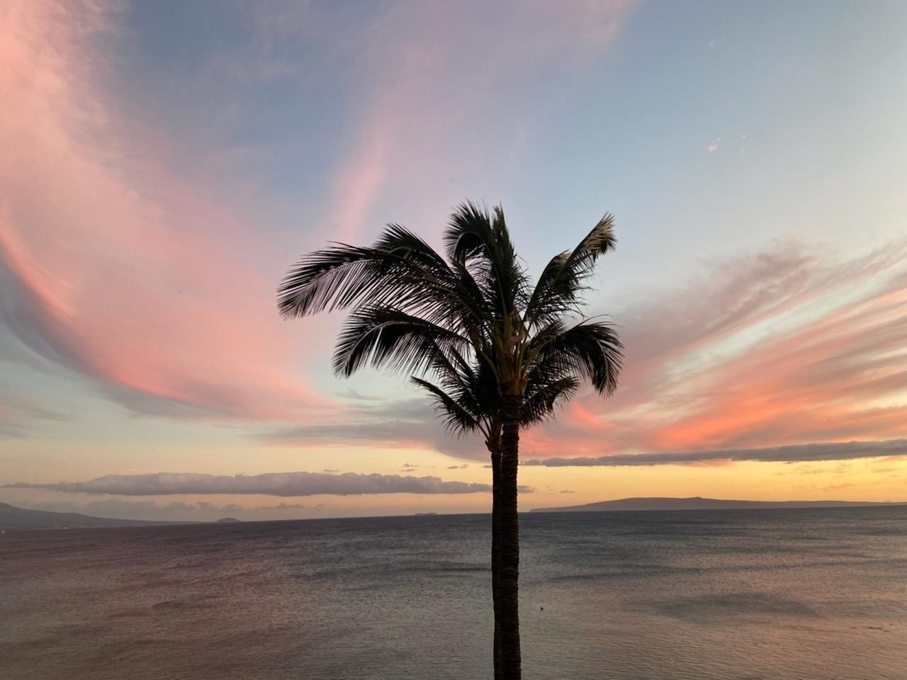 Kanai A Nalu condo # 420, Wailuku, Hawaii - photo 30 of 30