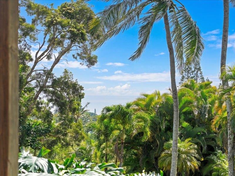 250  Heaaula Pl Peahi, Haiku home - photo 42 of 50