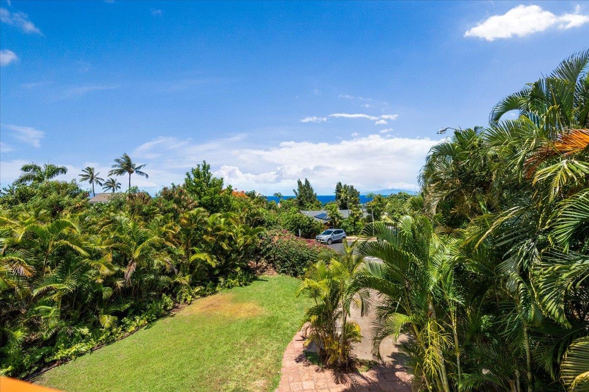 250  Hoohale Pl Keonekai, Kihei home - photo 46 of 50