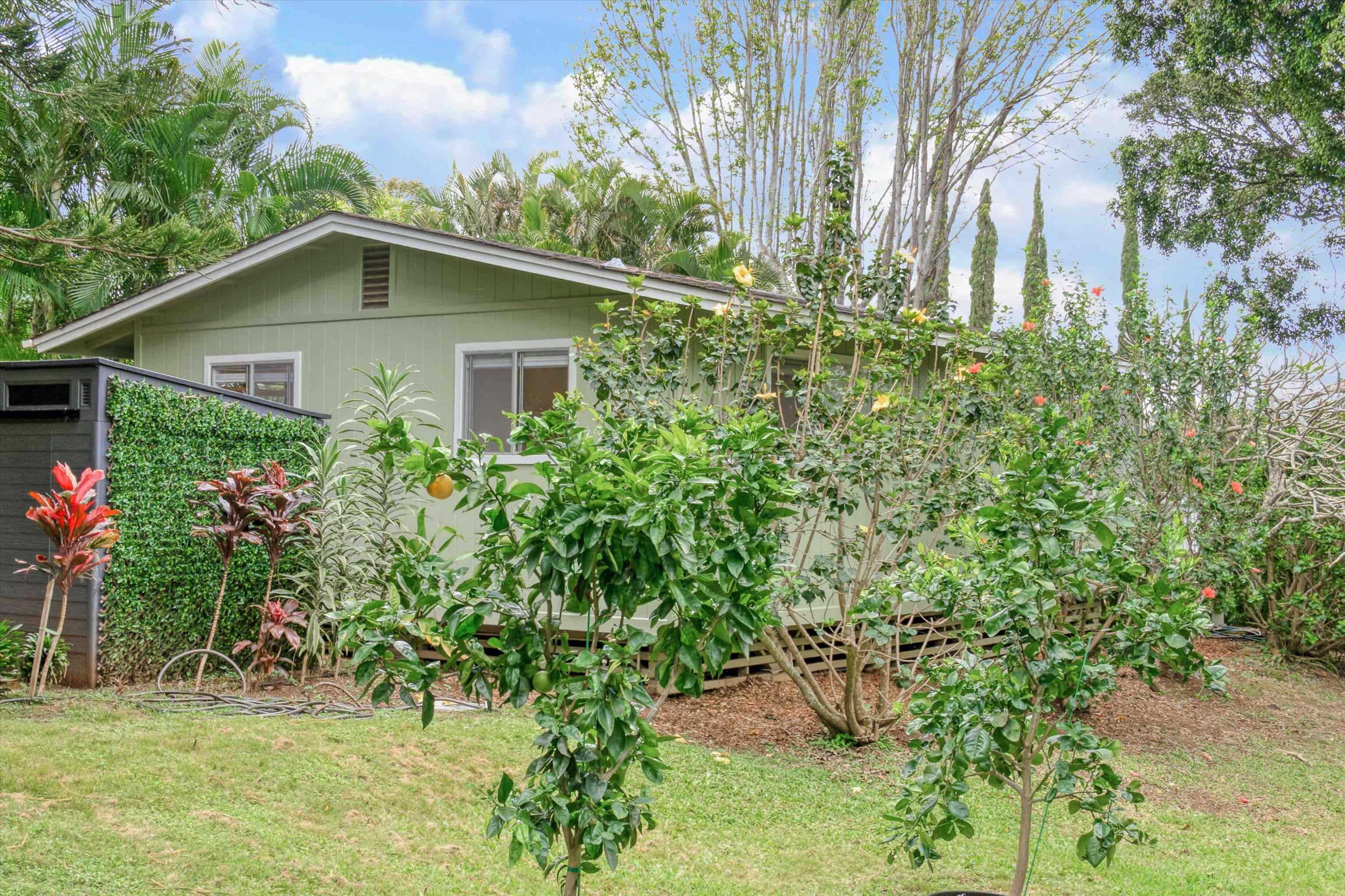250  Ulana St , Makawao/Olinda/Haliimaile home - photo 41 of 49