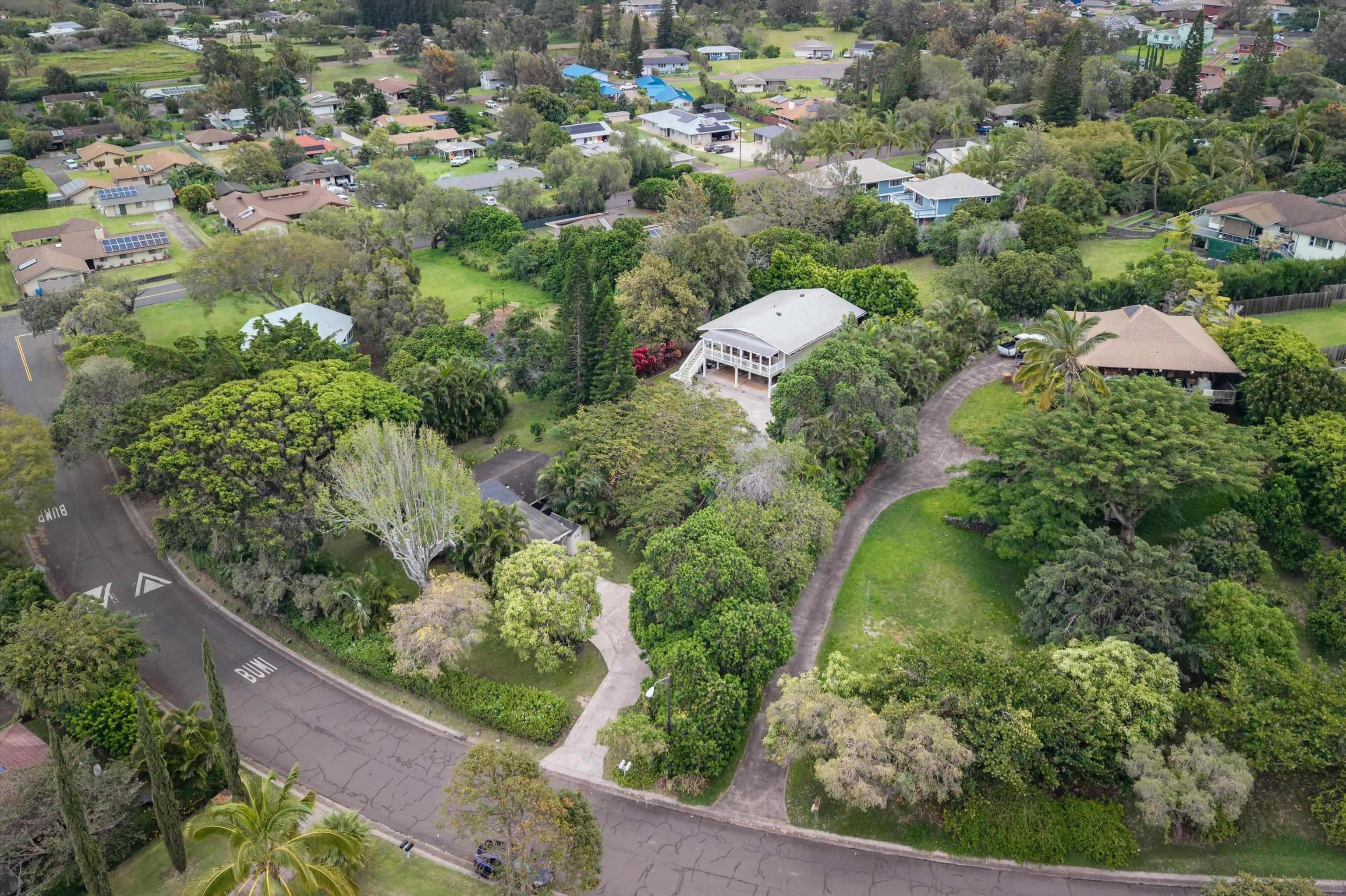 250  Ulana St , Makawao/Olinda/Haliimaile home - photo 48 of 49