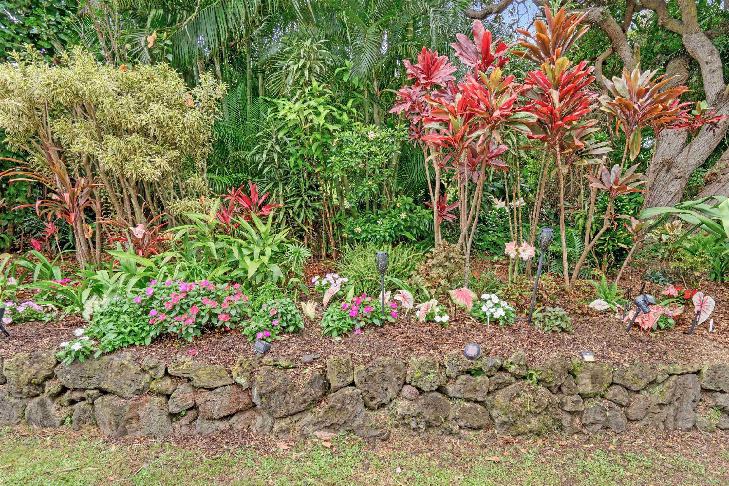 250  Ulana St , Makawao/Olinda/Haliimaile home - photo 7 of 49