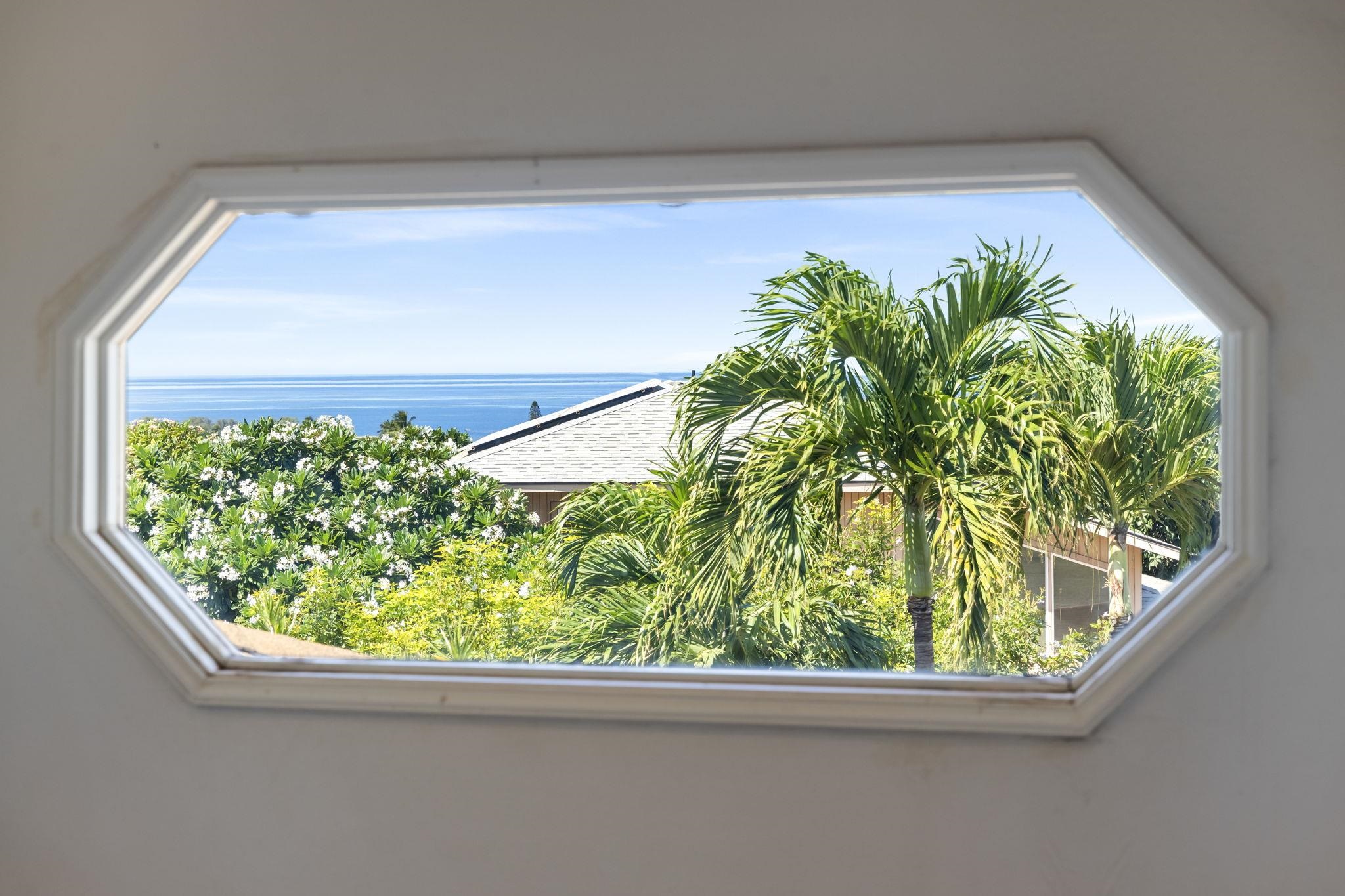 250  Wainohia St North Kihei, Kihei home - photo 34 of 41