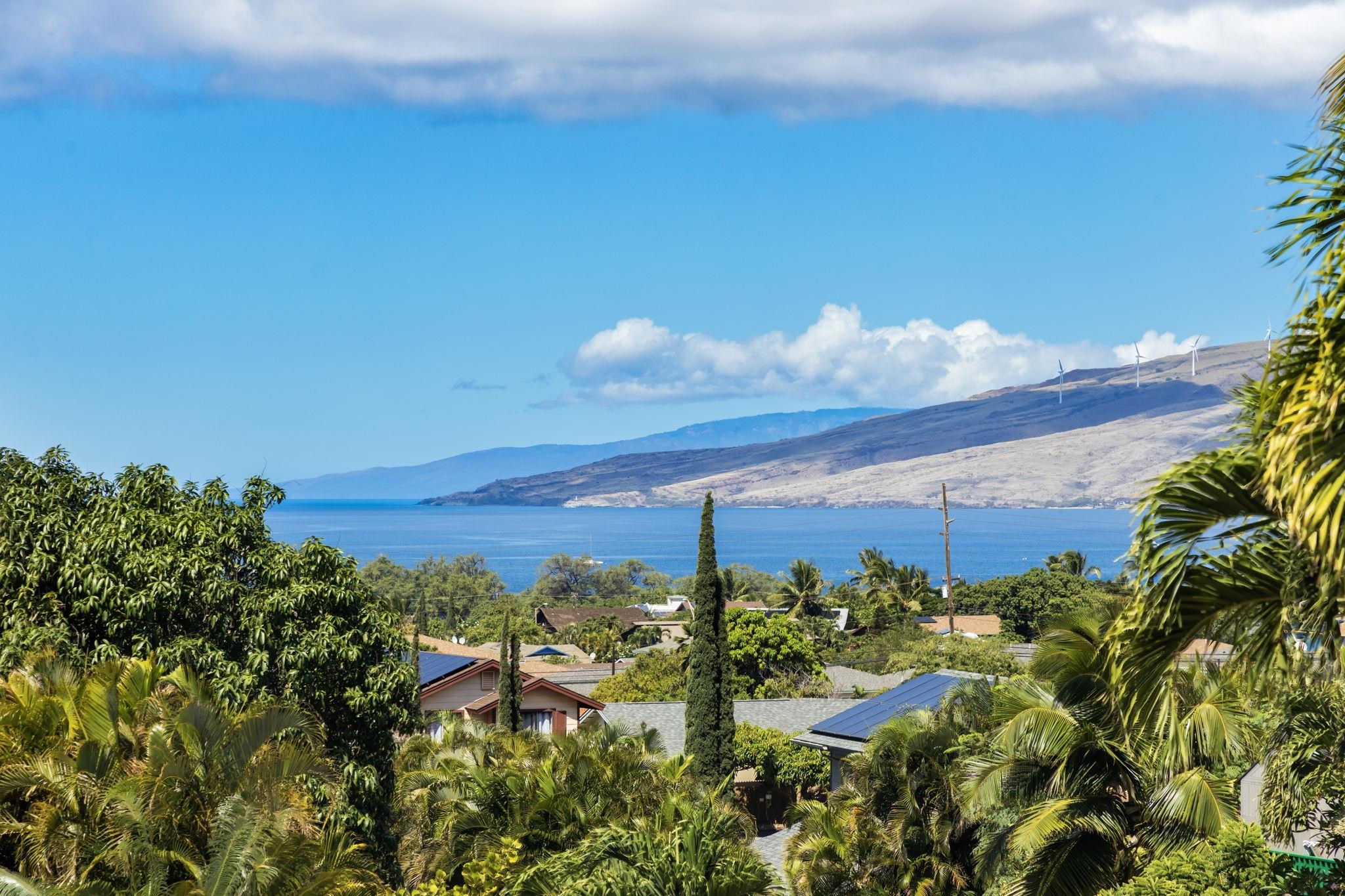 250  Wainohia St North Kihei, Kihei home - photo 5 of 41