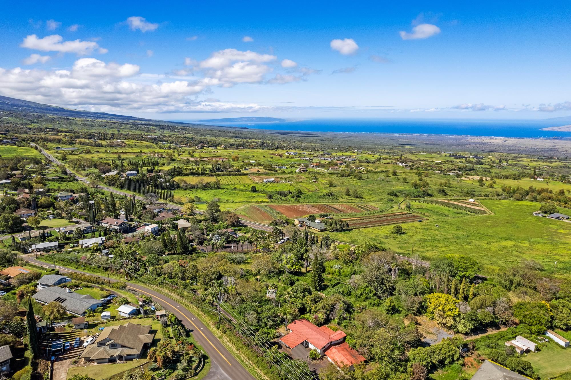 2505  Kula Hwy , Kula/Ulupalakua/Kanaio home - photo 11 of 28