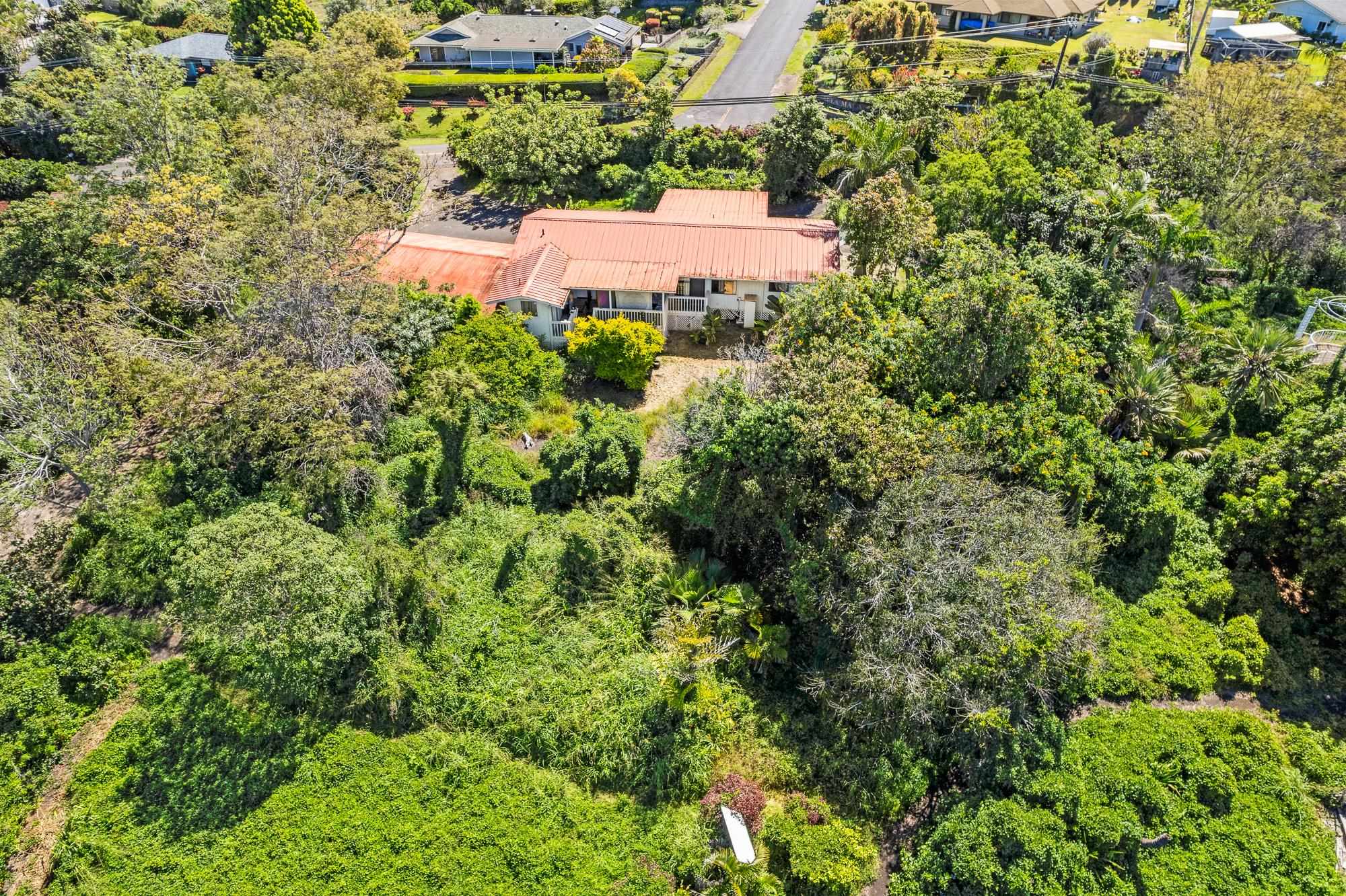 2505  Kula Hwy , Kula/Ulupalakua/Kanaio home - photo 22 of 28