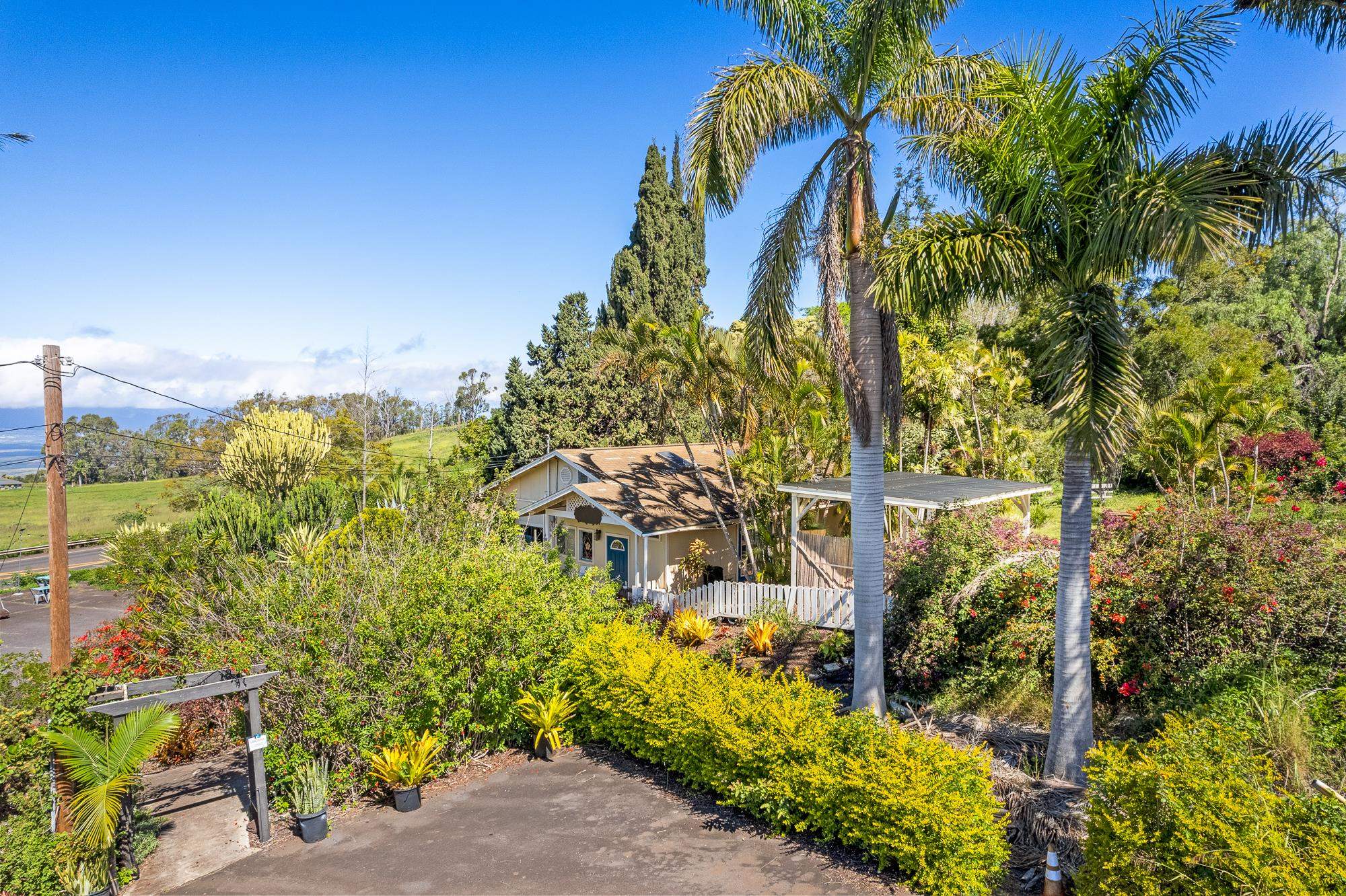 2505  Kula Hwy , Kula/Ulupalakua/Kanaio home - photo 26 of 28