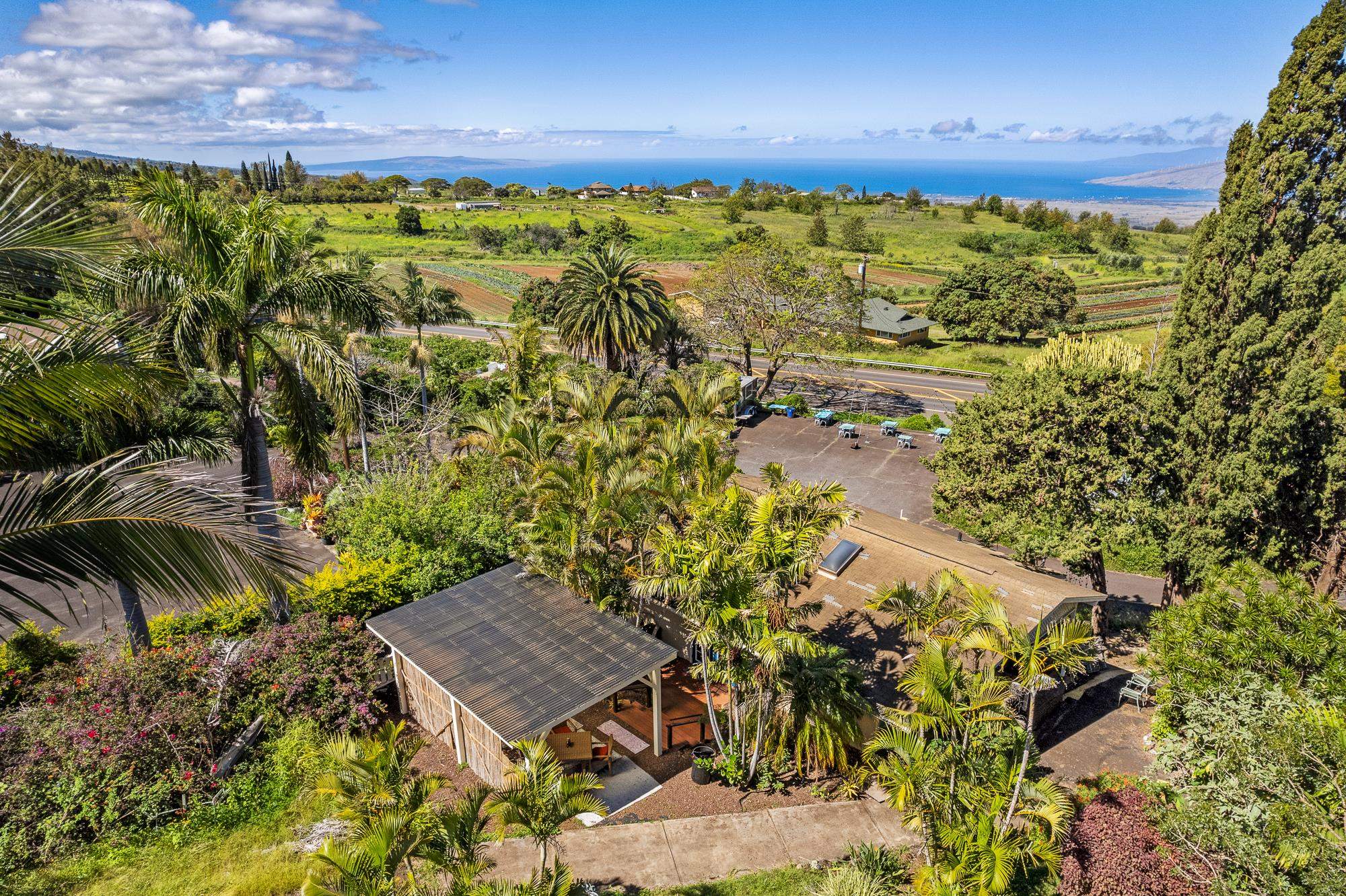 2505  Kula Hwy , Kula/Ulupalakua/Kanaio home - photo 27 of 28