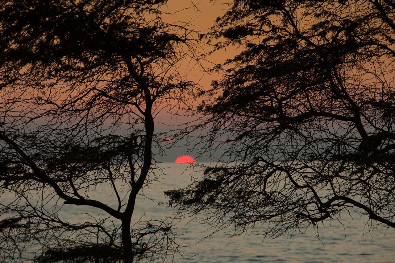 Kihei Akahi condo # C211, Kihei, Hawaii - photo 36 of 39