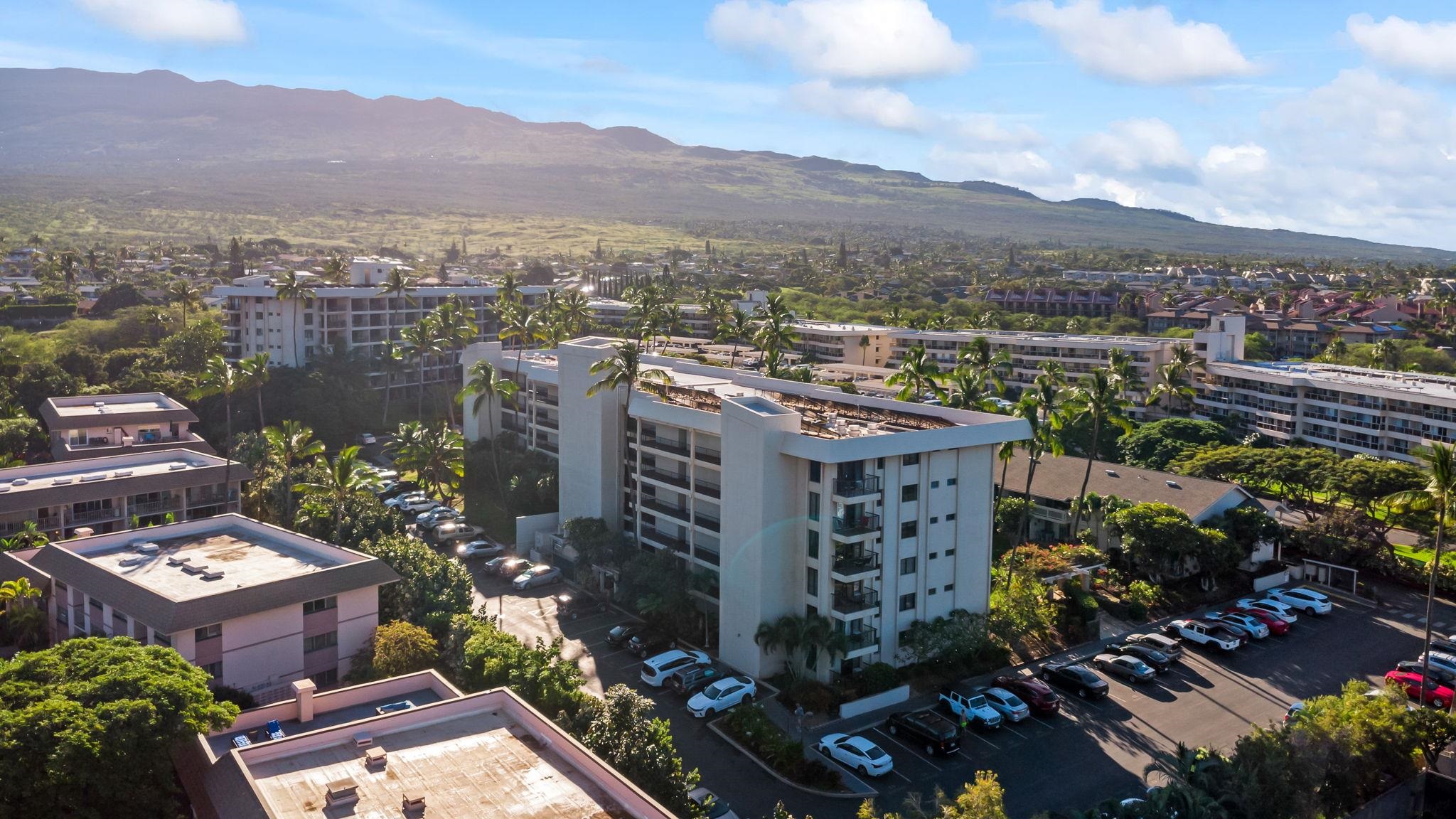 Kihei Akahi condo # C218, Kihei, Hawaii - photo 28 of 50