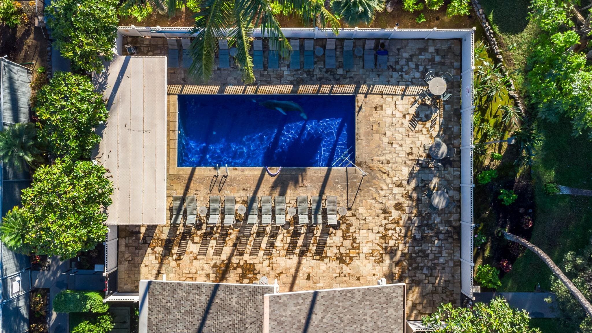 Kihei Akahi condo # C218, Kihei, Hawaii - photo 44 of 50