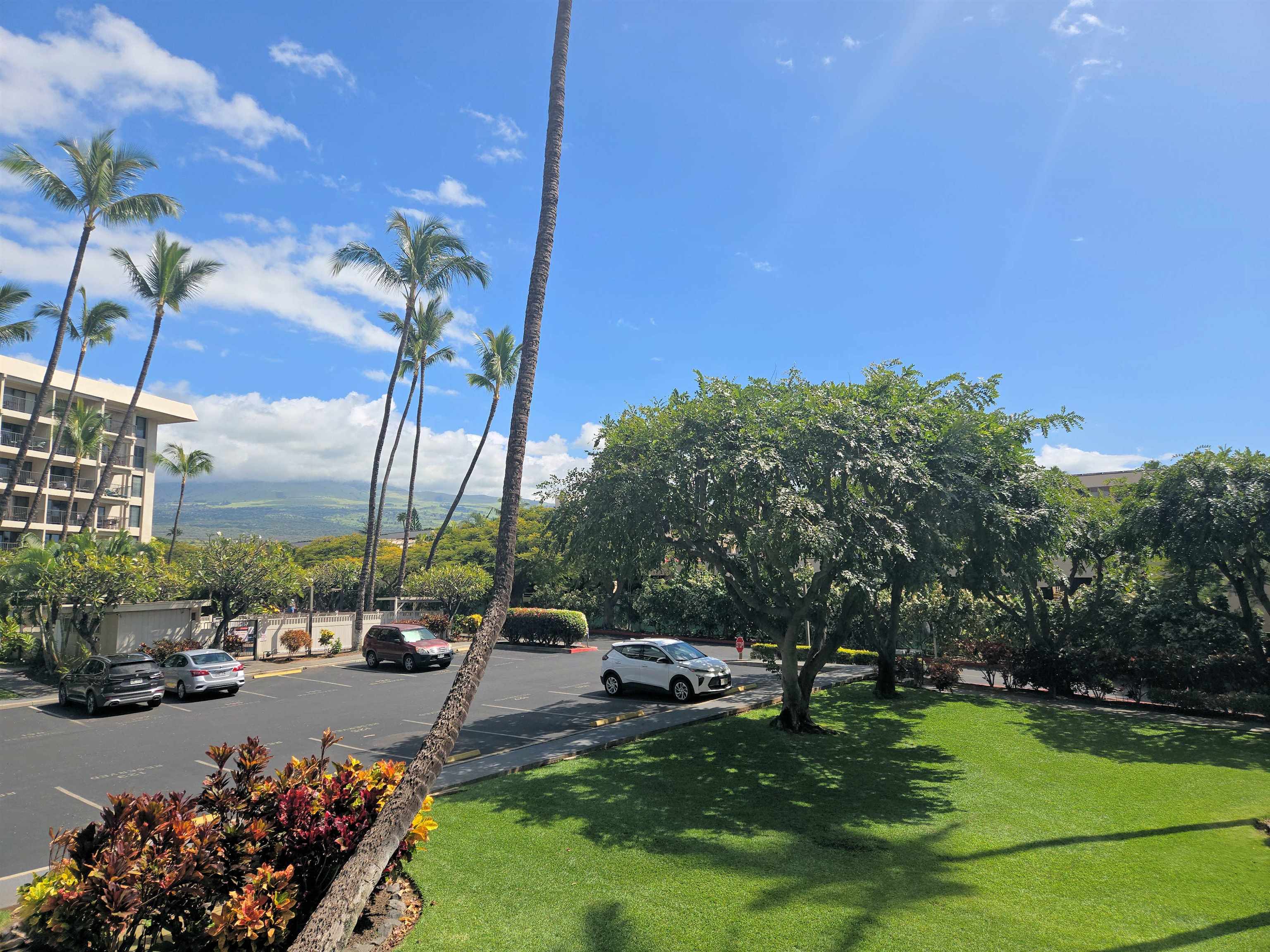 Kihei Akahi condo # C-318, Kihei, Hawaii - photo 23 of 30