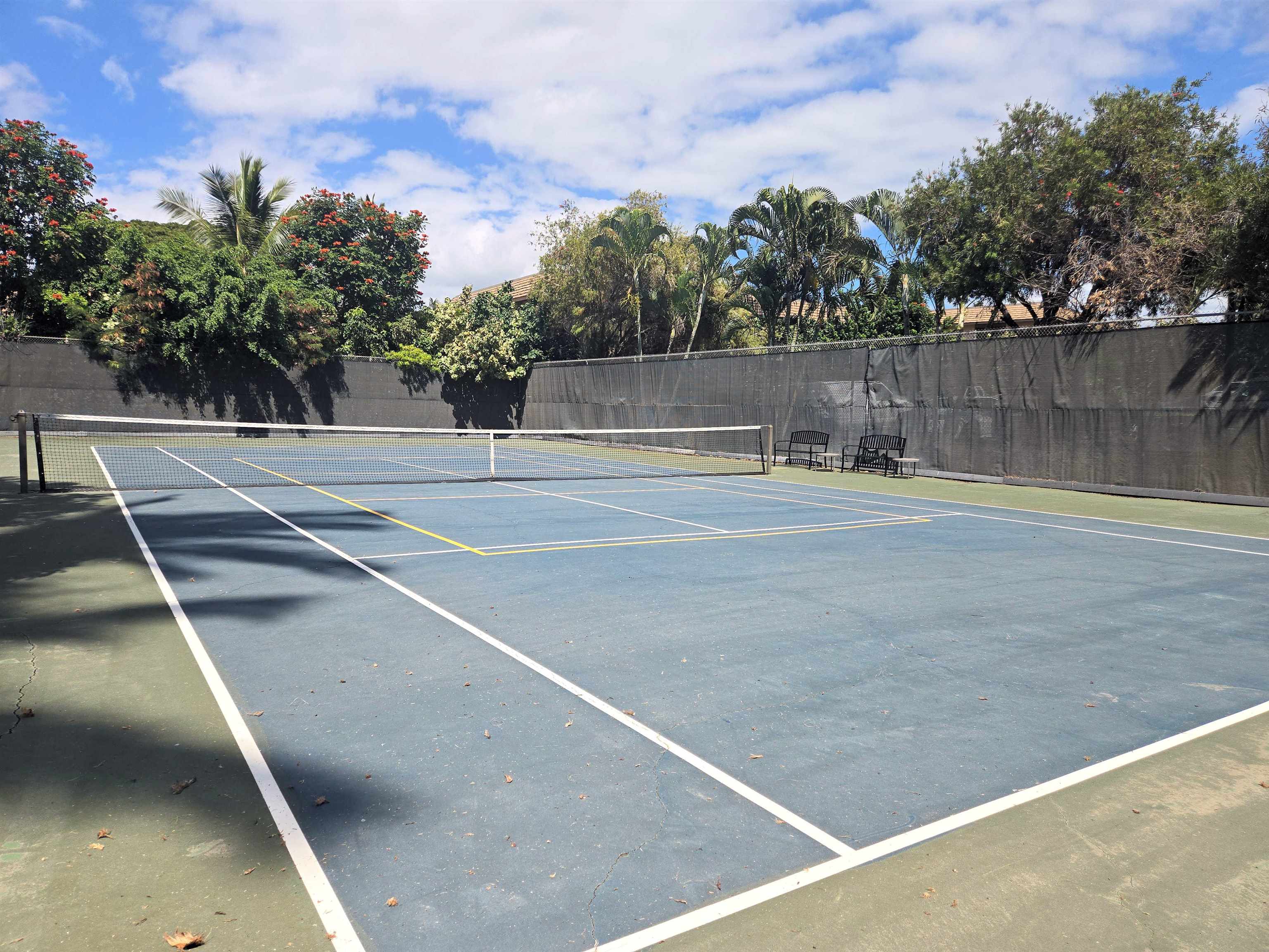 Kihei Akahi condo # C-318, Kihei, Hawaii - photo 26 of 29