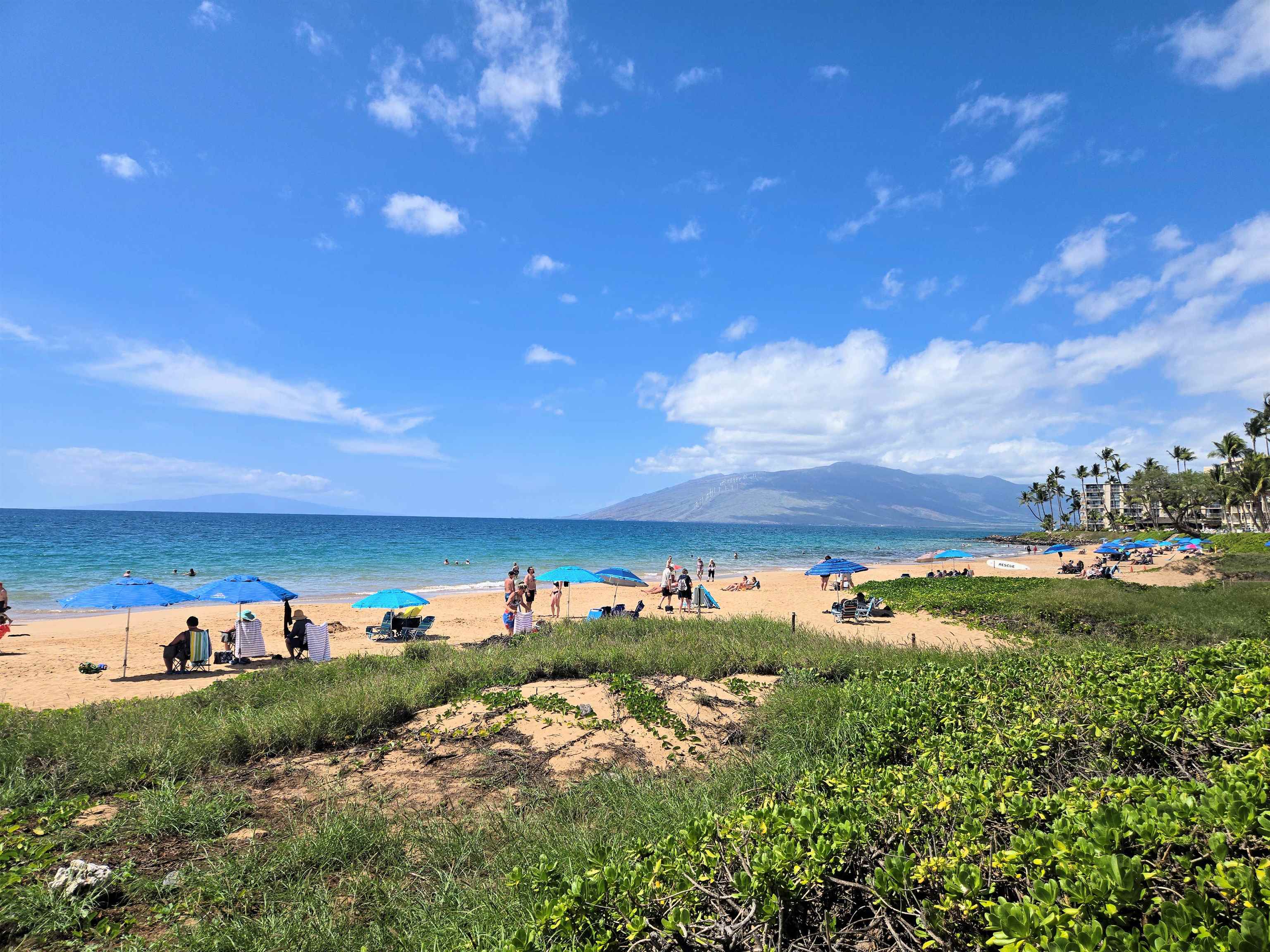 Kihei Akahi condo # C-318, Kihei, Hawaii - photo 30 of 30