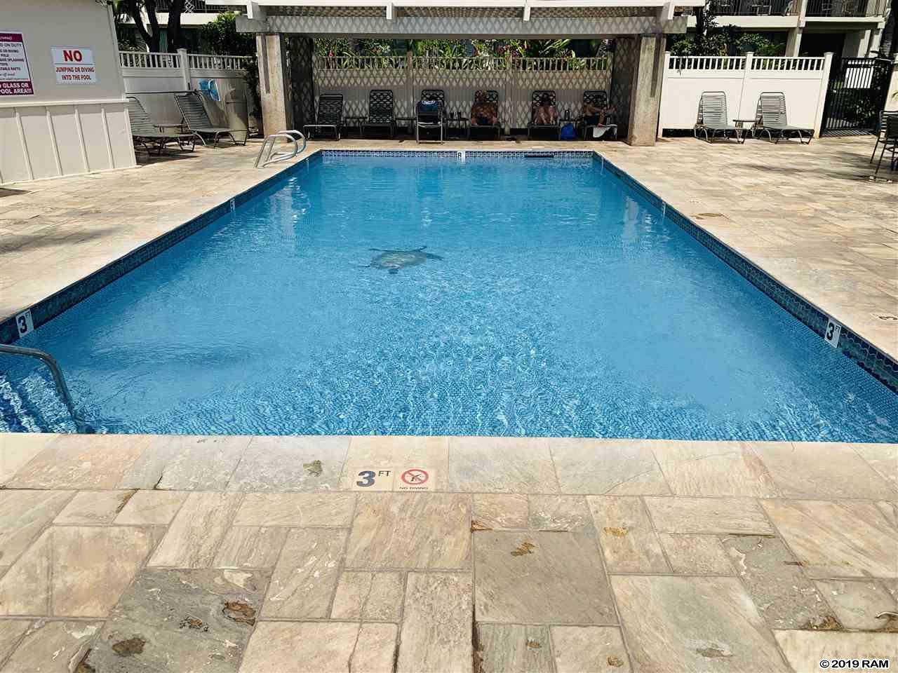 Kihei Akahi condo # C411, Kihei, Hawaii - photo 17 of 20