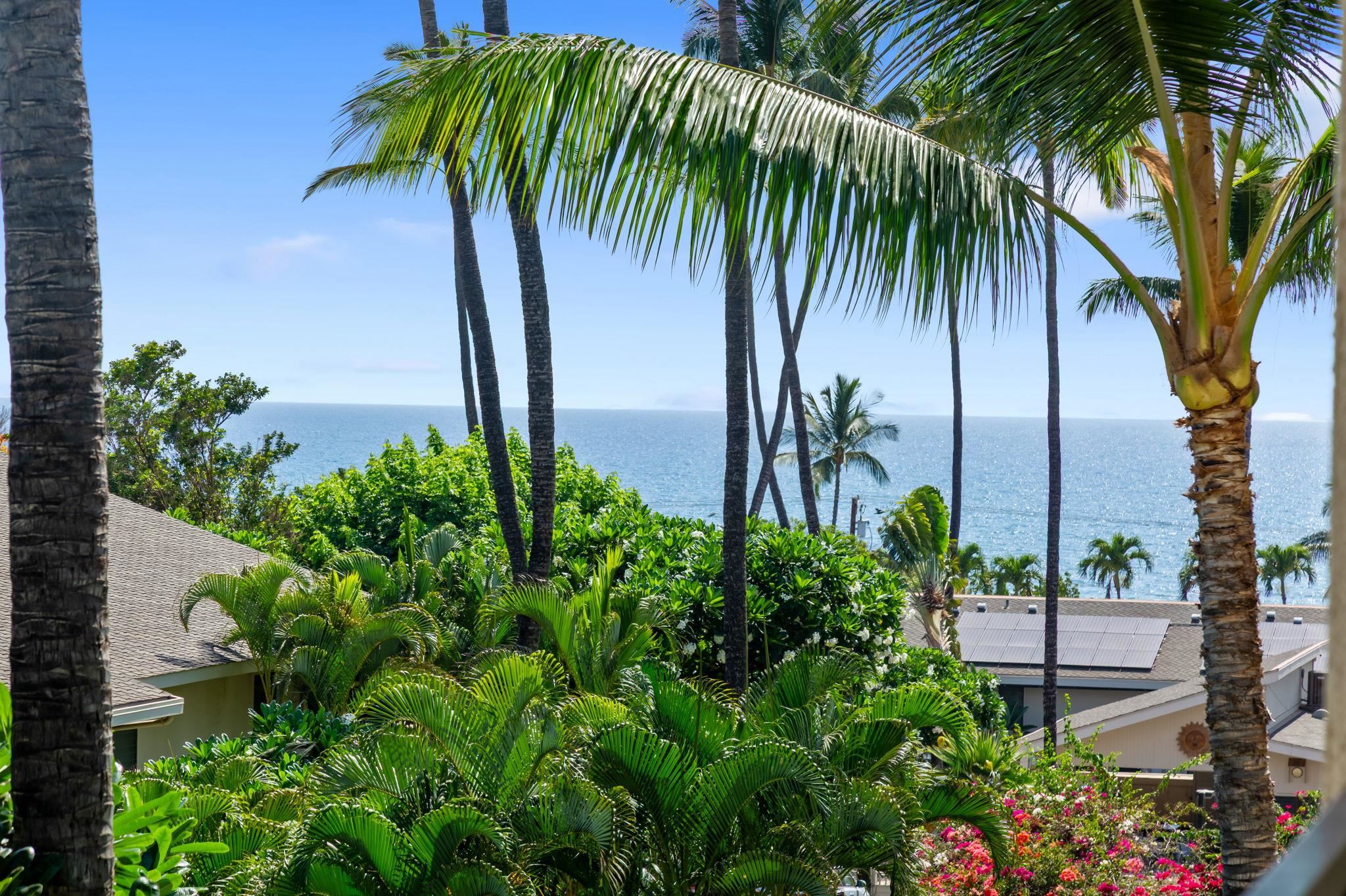 Kihei Akahi condo # C414, Kihei, Hawaii - photo 39 of 48