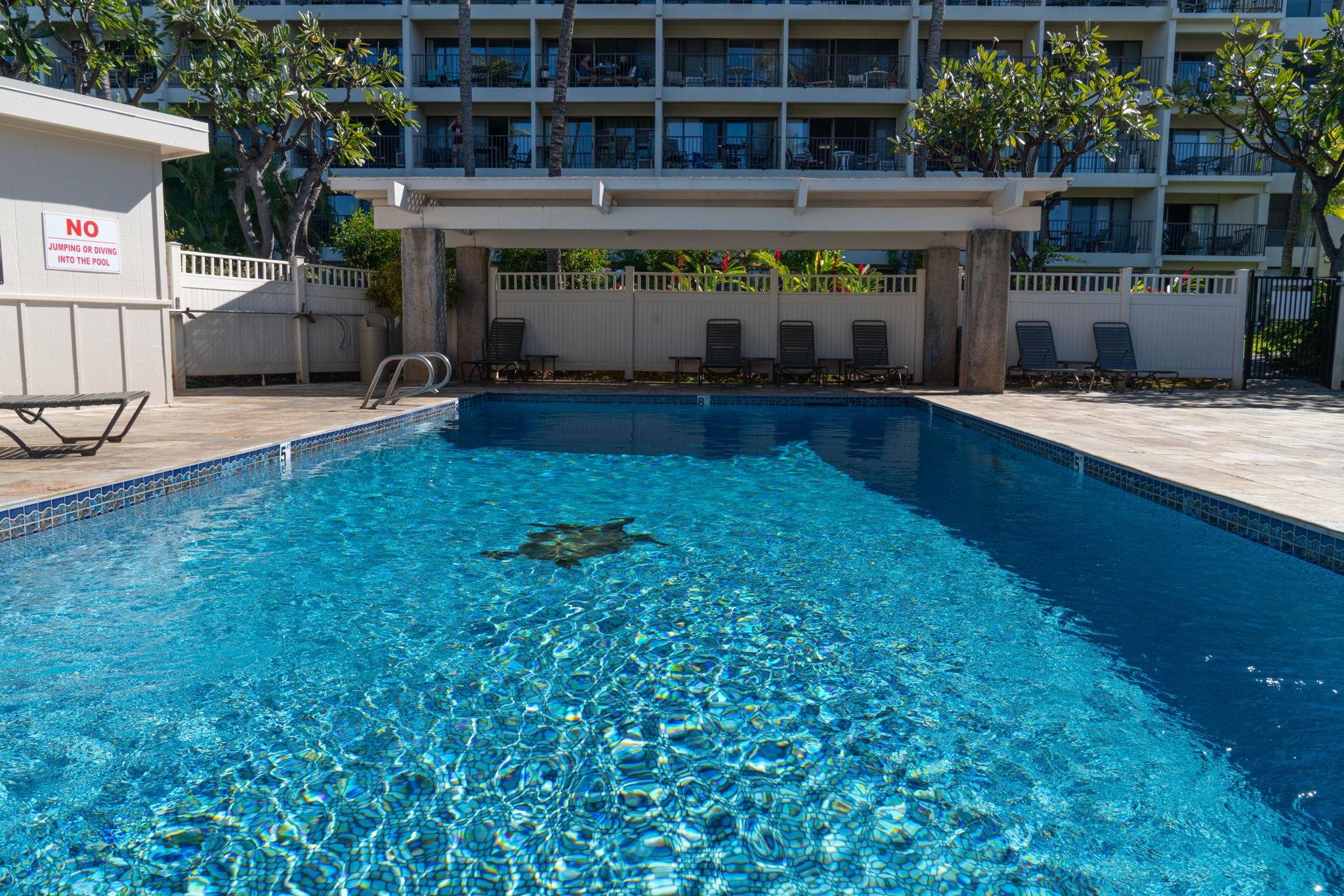 Kihei Akahi condo # C414, Kihei, Hawaii - photo 45 of 48