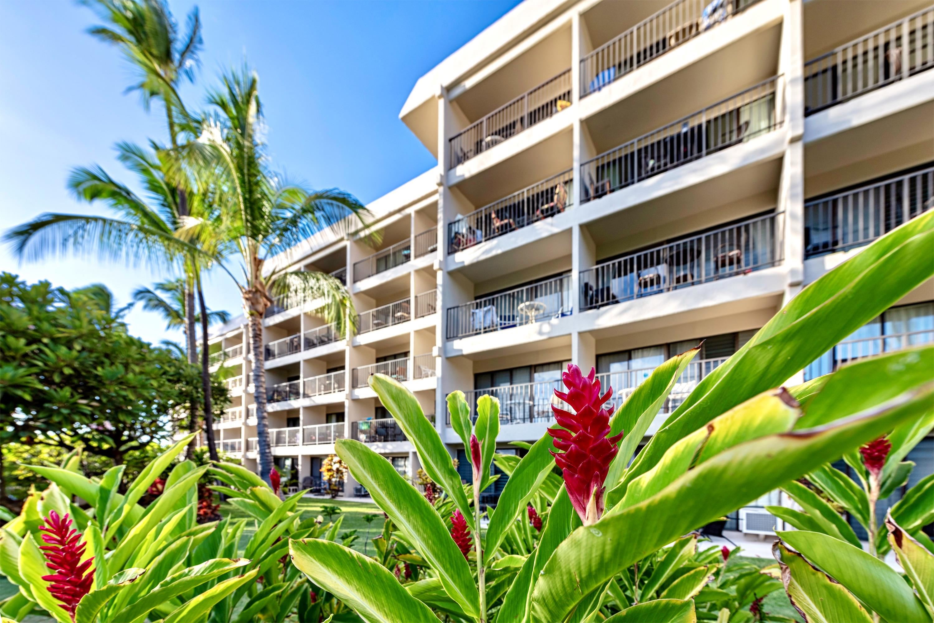 Kihei Akahi condo # C609, Kihei, Hawaii - photo 22 of 25