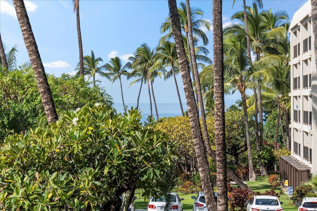 Kihei Akahi condo # D111, Kihei, Hawaii - photo 32 of 44