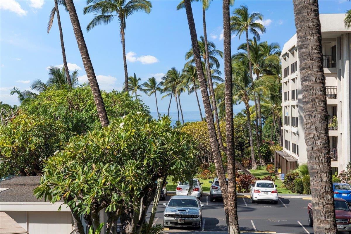 Kihei Akahi condo # D111, Kihei, Hawaii - photo 33 of 44