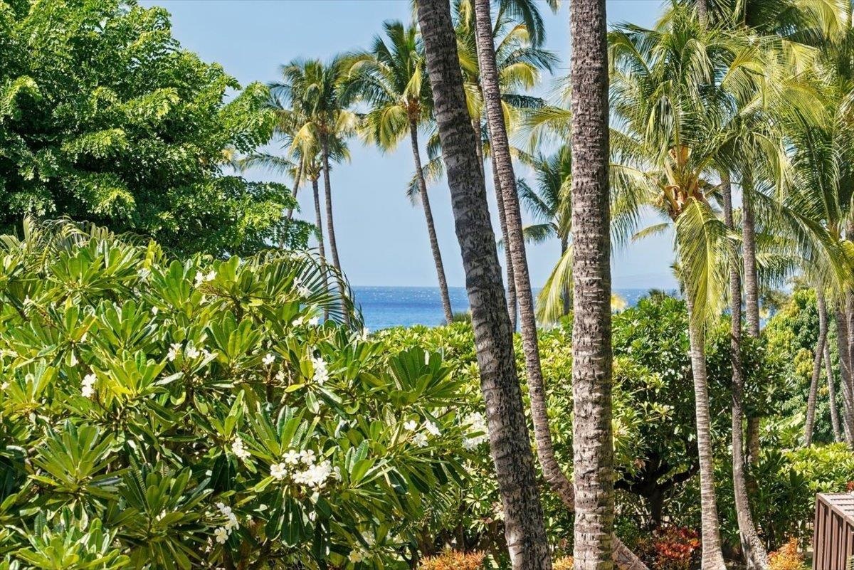 Kihei Akahi condo # D111, Kihei, Hawaii - photo 23 of 49