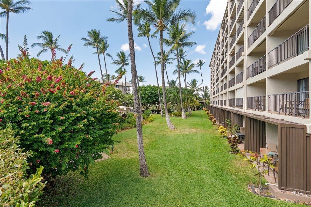 Kihei Akahi condo # D111, Kihei, Hawaii - photo 35 of 49