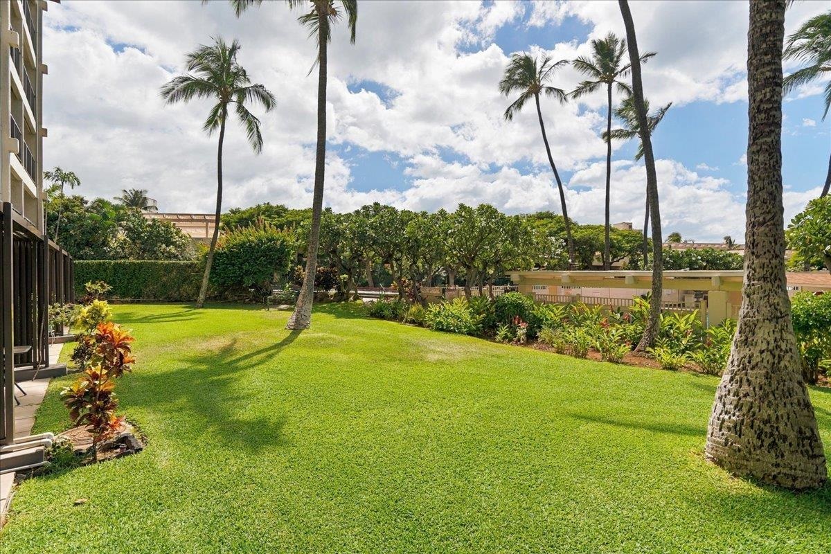 Kihei Akahi condo # D111, Kihei, Hawaii - photo 37 of 49