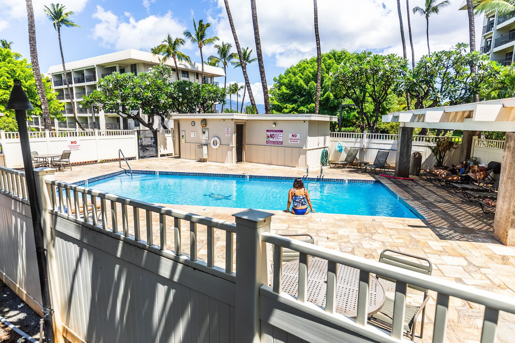 Kihei Akahi condo # D205, Kihei, Hawaii - photo 25 of 35