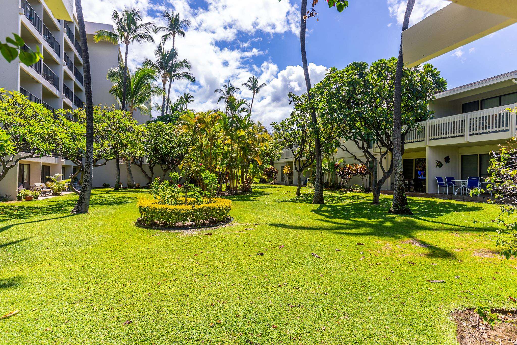 Kihei Akahi condo # D205, Kihei, Hawaii - photo 28 of 35