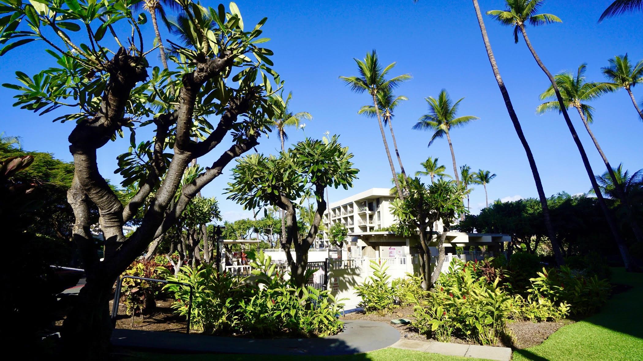 Kihei Akahi condo # D409, Kihei, Hawaii - photo 22 of 29