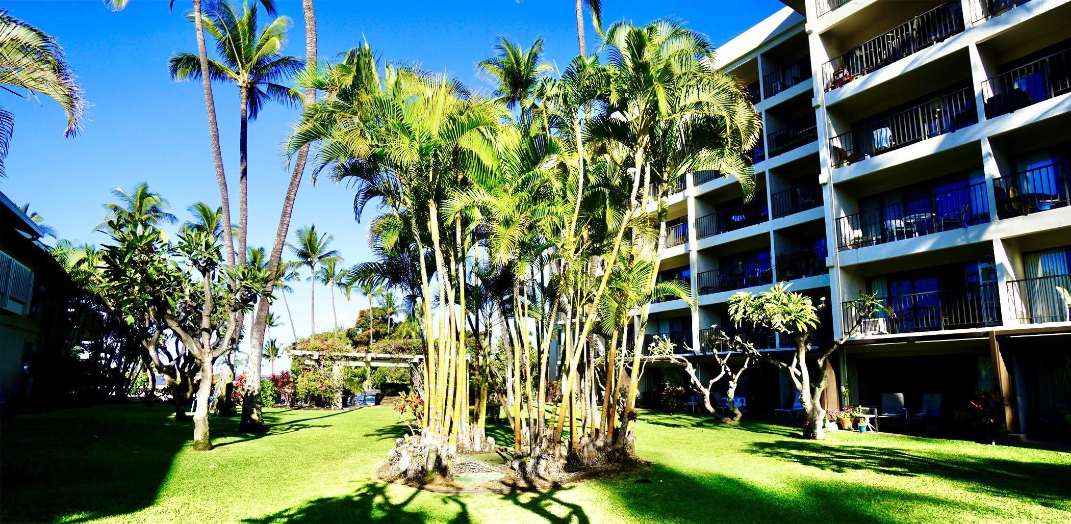 Kihei Akahi condo # D409, Kihei, Hawaii - photo 29 of 29