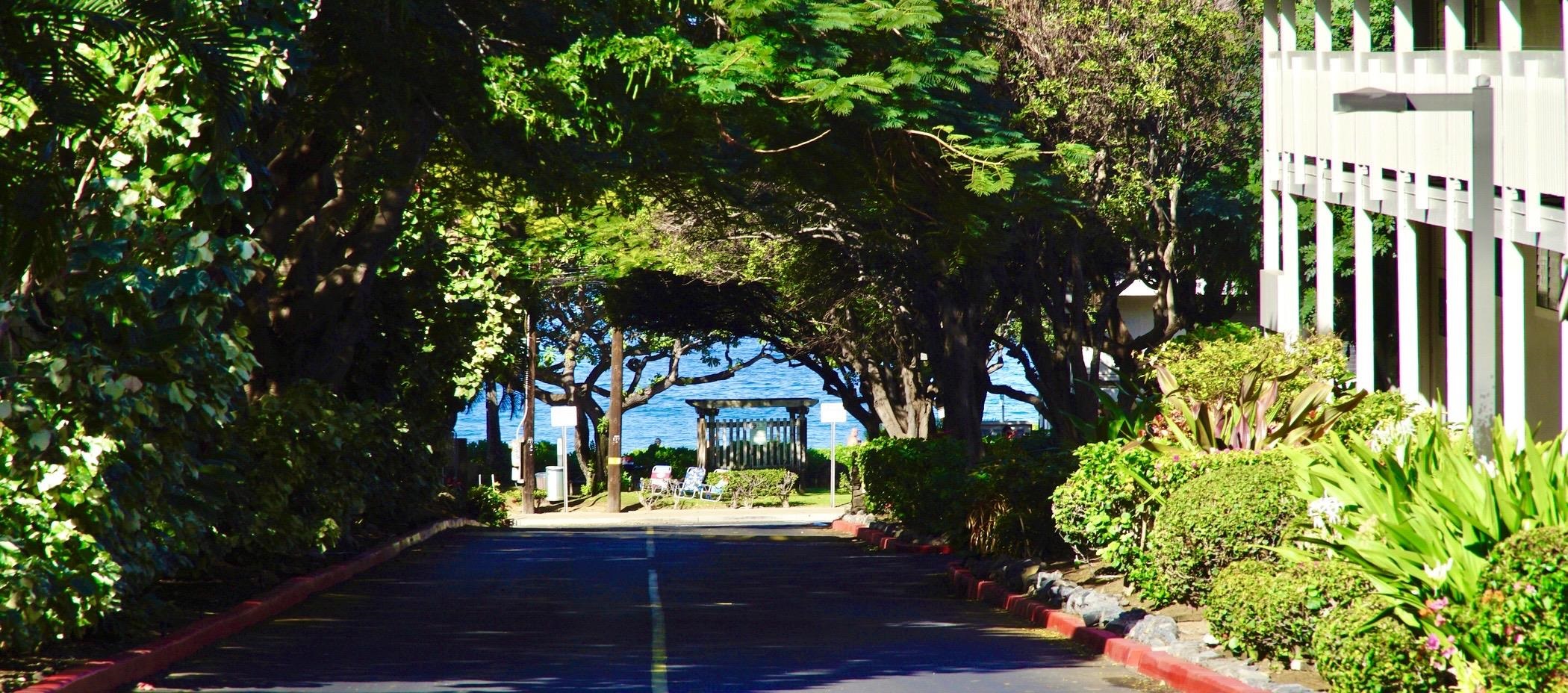 Kihei Akahi condo # D409, Kihei, Hawaii - photo 25 of 33