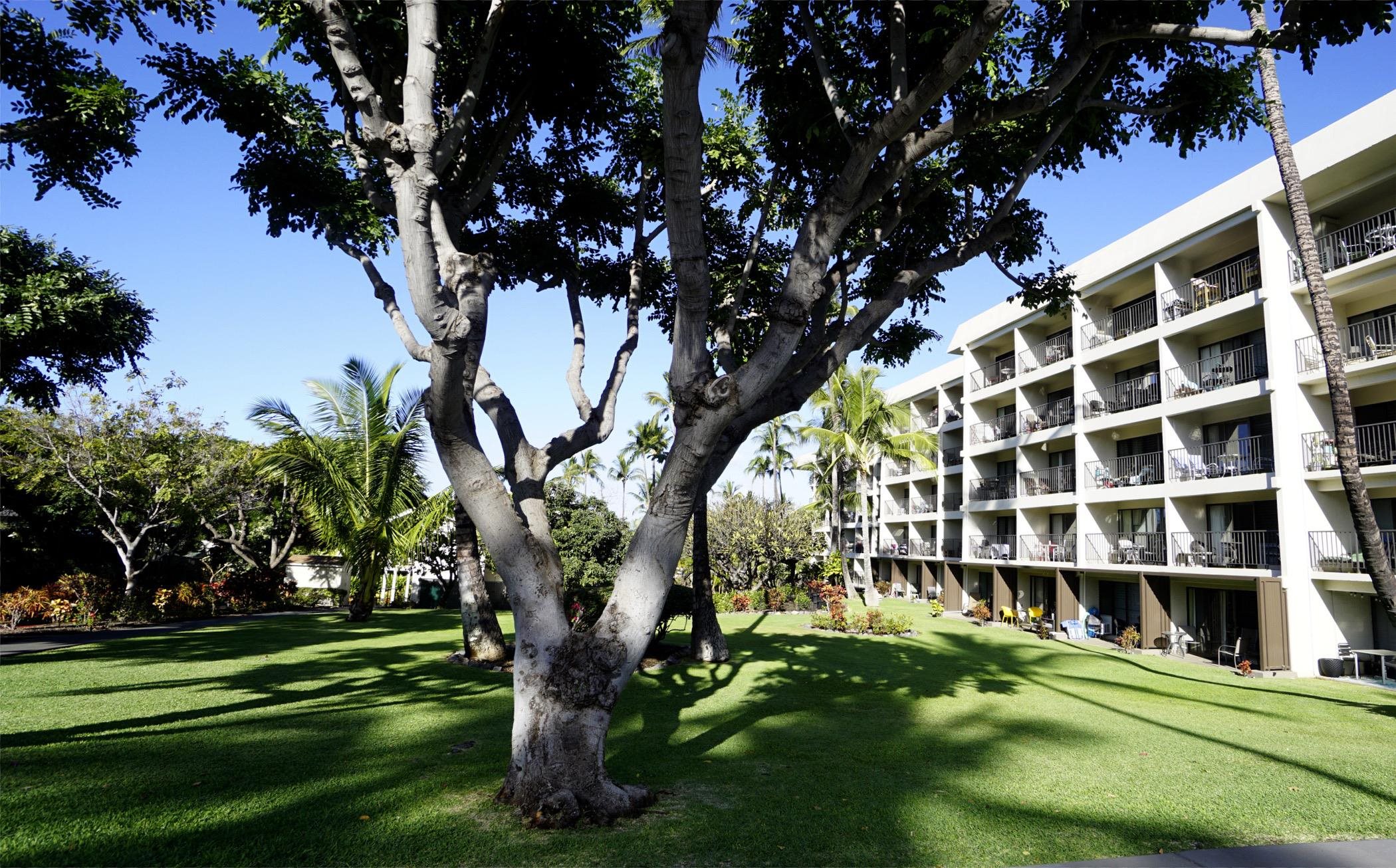 Kihei Akahi condo # D409, Kihei, Hawaii - photo 27 of 33