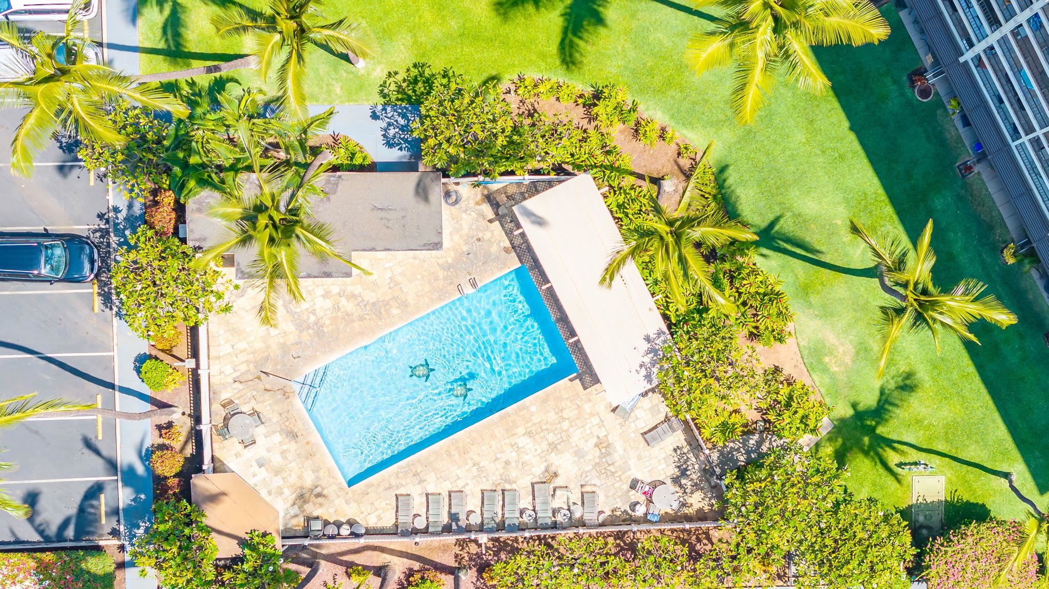 Kihei Akahi condo # D507, Kihei, Hawaii - photo 22 of 38