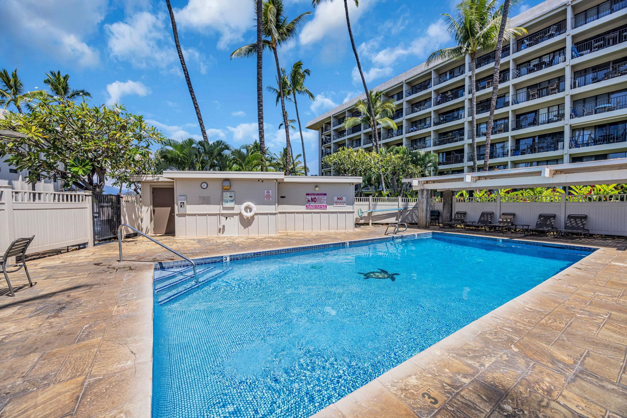 Kihei Akahi condo # D507, Kihei, Hawaii - photo 27 of 38