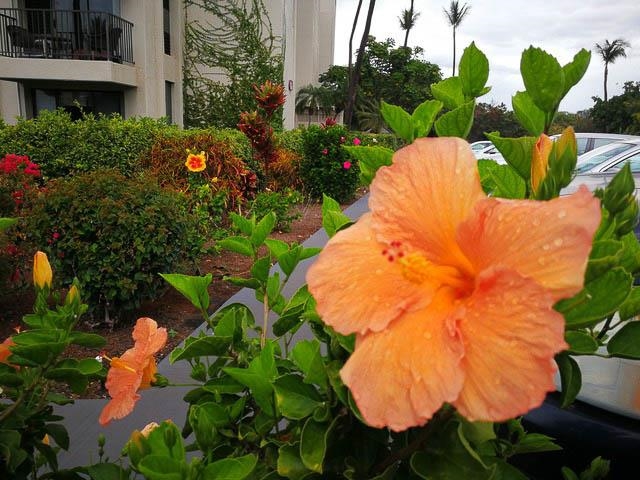 Kihei Akahi condo # D510, Kihei, Hawaii - photo 30 of 33